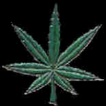 MARIJUANA LEAF PIN